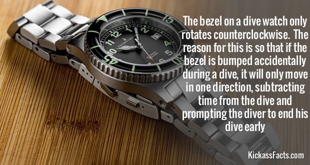 263DiveWatch.jpg