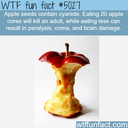tumblr_nzxyumcS571roqv59o1_500.png