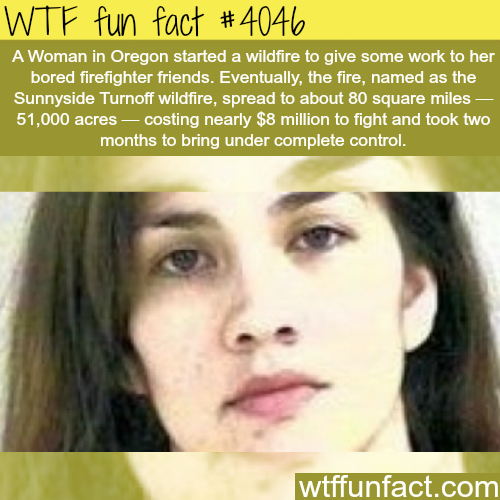 tumblr_np2gcniAsT1roqv59o1_500.png