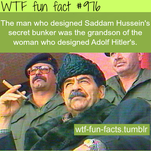 tumblr_mfz2pbU92W1roqv59o1_500.png