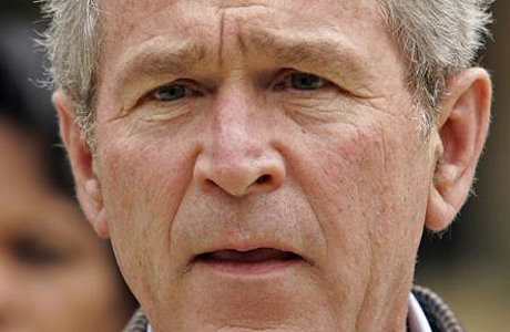 bush460.jpg