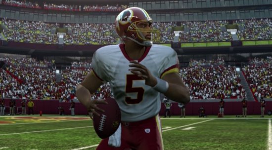 redskinsmcnabb1.jpg