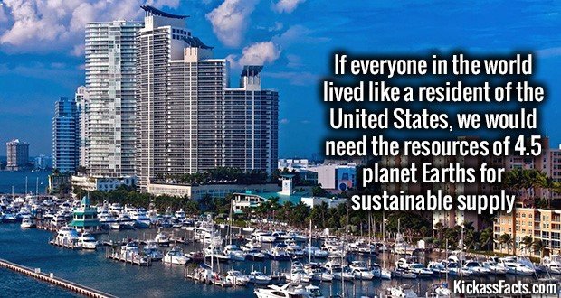 1042-USA-Luxury.jpg