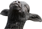 xvwpl727sn9f.png
