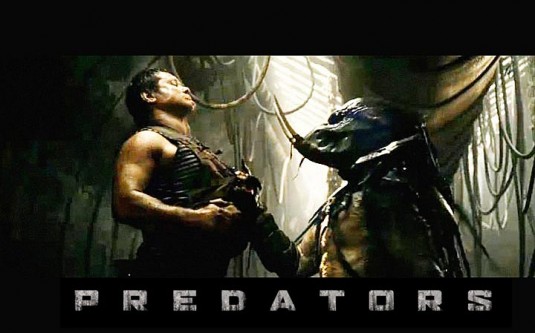 predators_photo-535x333.jpg