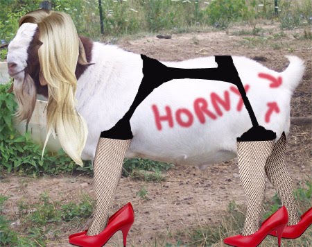 sexygoat.jpg