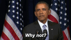 o8fhb97erjie.gif