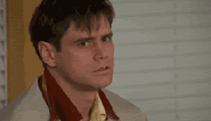 zwwtqxcsued7.gif