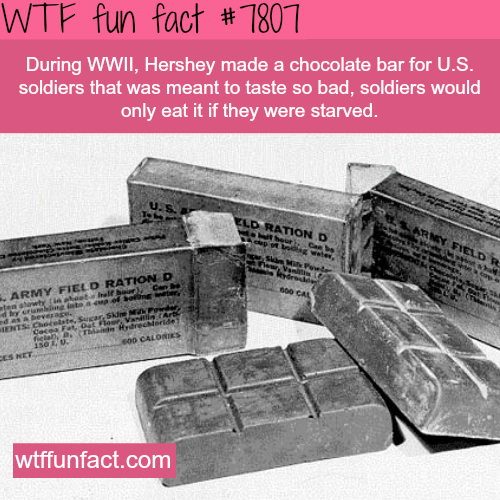 tumblr_oug8lstbSL1roqv59o1_500.png
