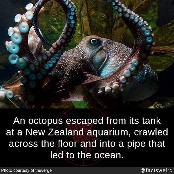 tumblr_ozs4u5f6Op1szqwnwo1_1280.jpg