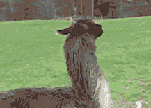 z4122gtbfr38.gif