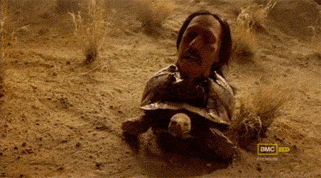 tumblr_ln07imUGQ71qa971co1_500.gif
