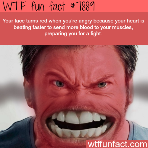 tumblr_ovke8nUwHO1roqv59o1_500.png
