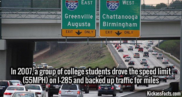 1338-I-285.jpg