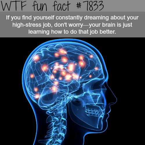tumblr_oustuhUbHk1roqv59o1_500.png