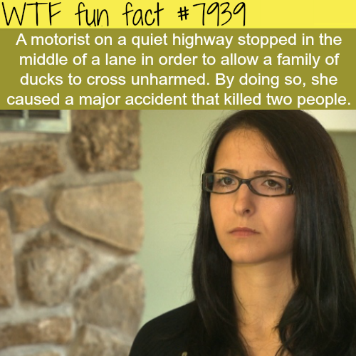 tumblr_owcapuMICh1roqv59o1_500.png