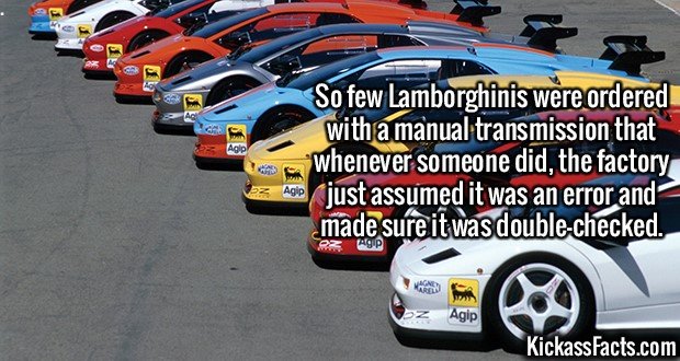 2381-Lamborghinis.jpg