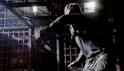 tumblr_n5mma09BJo1sayvzeo5_250.gif