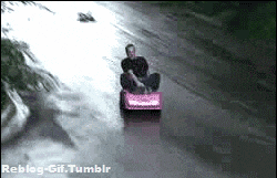 d8s5eo1x6vgf.gif