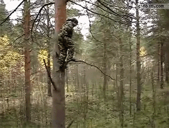 anigif_enhanced-buzz-2608-1358865625-103.gif