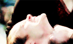 tumblr_n08lv3UhOL1sna39no5_250.gif