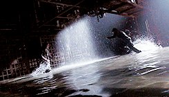 tumblr_n5mma09BJo1sayvzeo7_250.gif