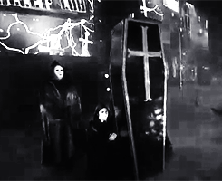 tumblr_mywgh05T8C1r00n56o3_250.gif