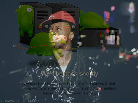 tumblr_lifhjix5Ho1qh0j6so1_500.gif