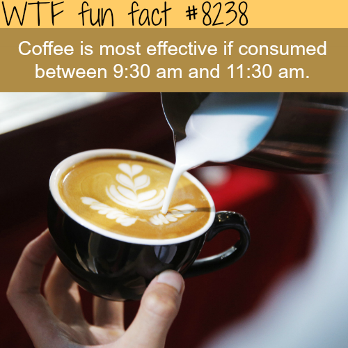 tumblr_p0zeakv9RE1roqv59o1_500.png