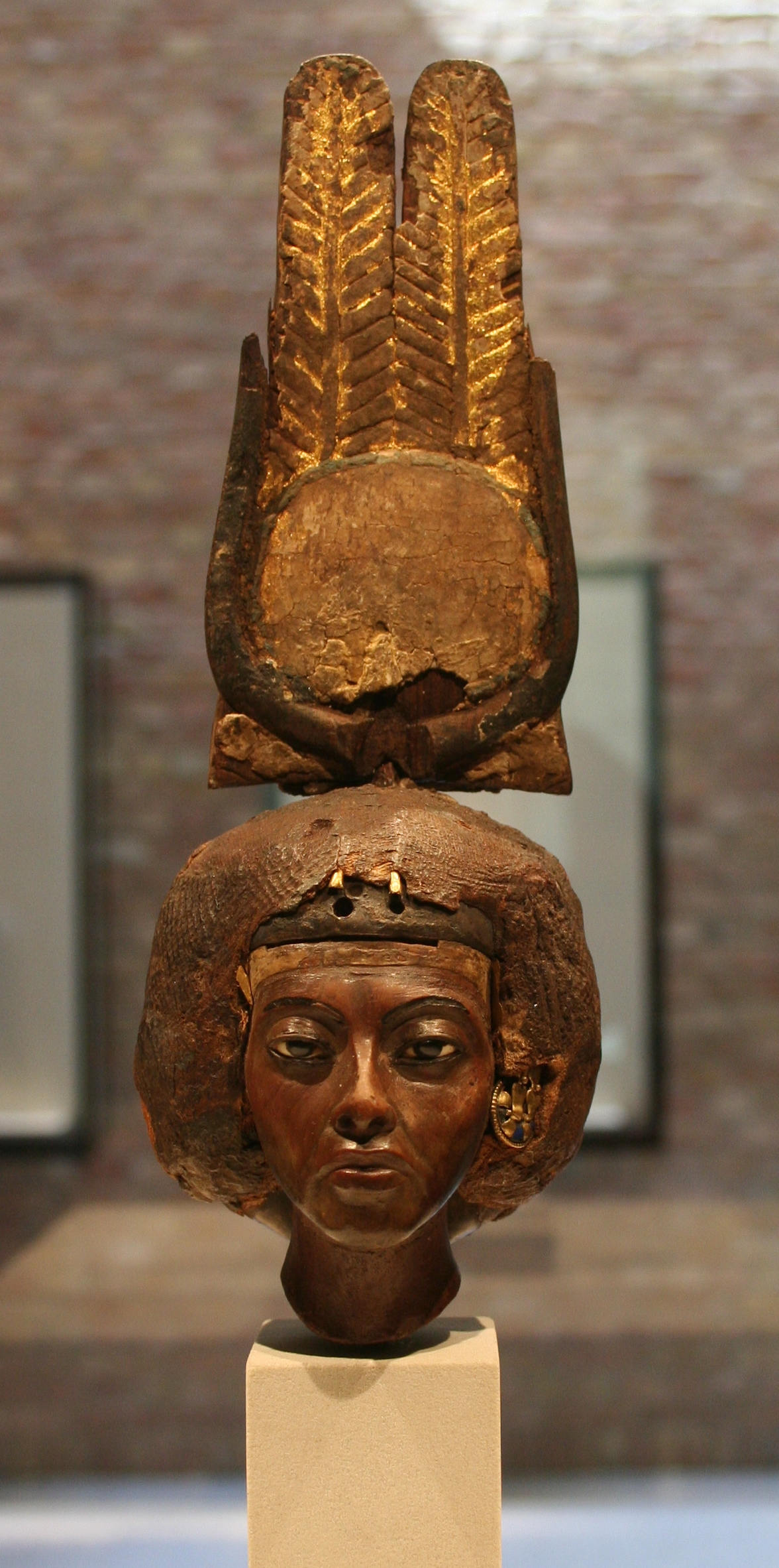 nsbmqswh25bl.jpg