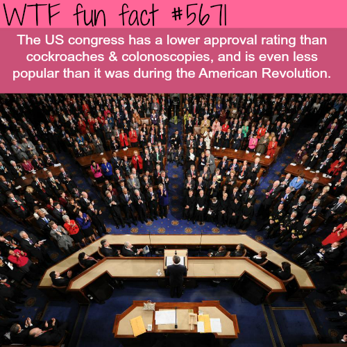 tumblr_o64d80FAqq1roqv59o1_500.png