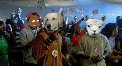 ahlrapm9dq9x.gif
