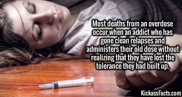 3184-Overdose.jpg