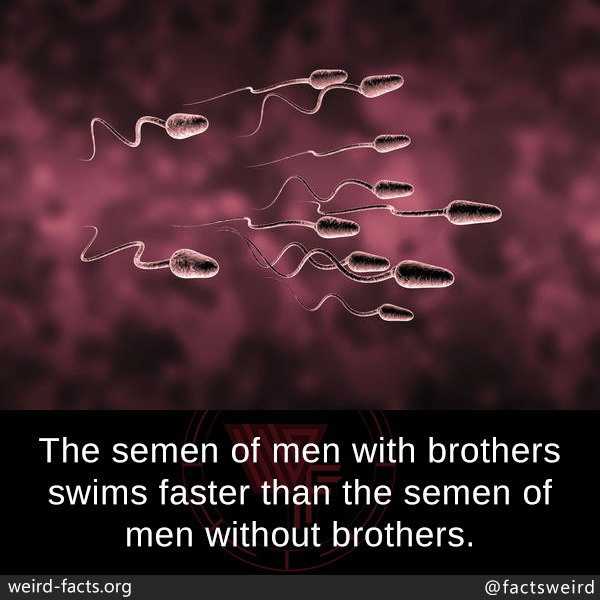tumblr_oz0ba1XAth1szqwnwo1_1280.jpg