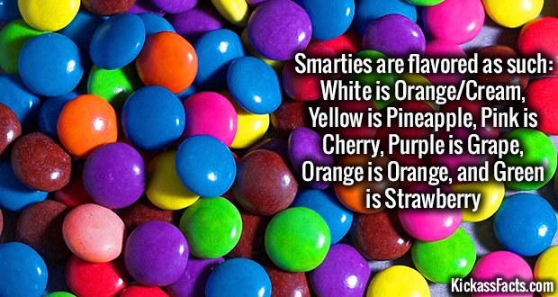 1033-Smarties.jpg