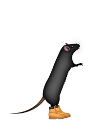 9l2t6ta8akhc.png