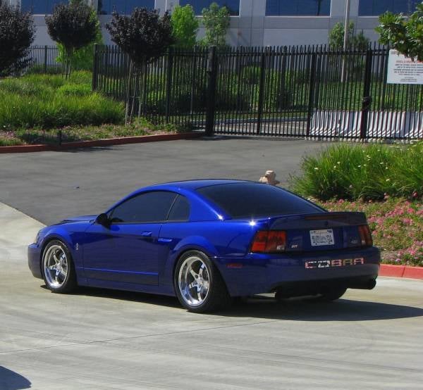 21608d1269819352-sb-cobra.jpg