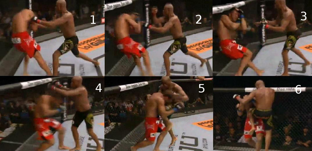 Silva_Bonnar_6.jpg