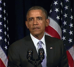 wh8de119kdiq.gif