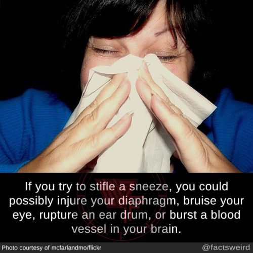 tumblr_oub80xEbYB1szqwnwo1_500.jpg