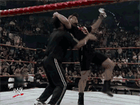 tumblr_n4fwz2En821rofoqgo1_250.gif