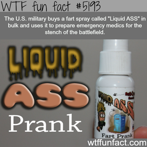 tumblr_o1sfc3Hhxf1roqv59o1_500.png