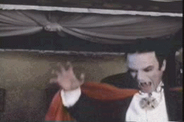 tumblr_moep0qPkct1s4wn4oo1_400.gif