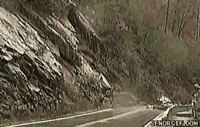 7gnv194t5793.gif