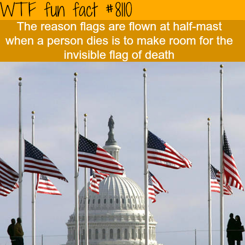 tumblr_oz2zonqvfN1roqv59o1_500.png