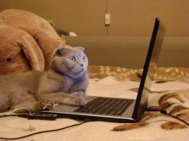 tumblr_kxriqxGtL71qzpwi0o1_1280.jpg