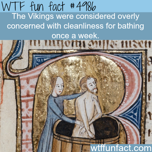 tumblr_nzflgvq9zJ1roqv59o1_500.png