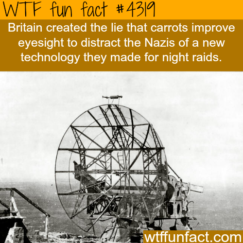 tumblr_nrxec4WJSa1roqv59o1_500.png