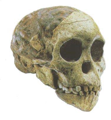 taung.jpg