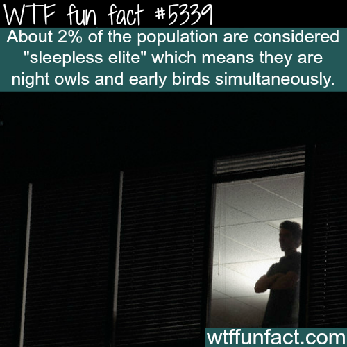 tumblr_o3hwznBqaR1roqv59o1_500.png